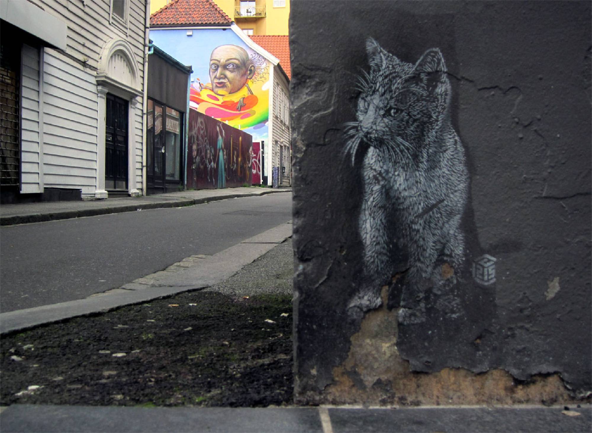 Chat Street Art
